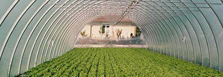 Greenhouse Irrigation solution